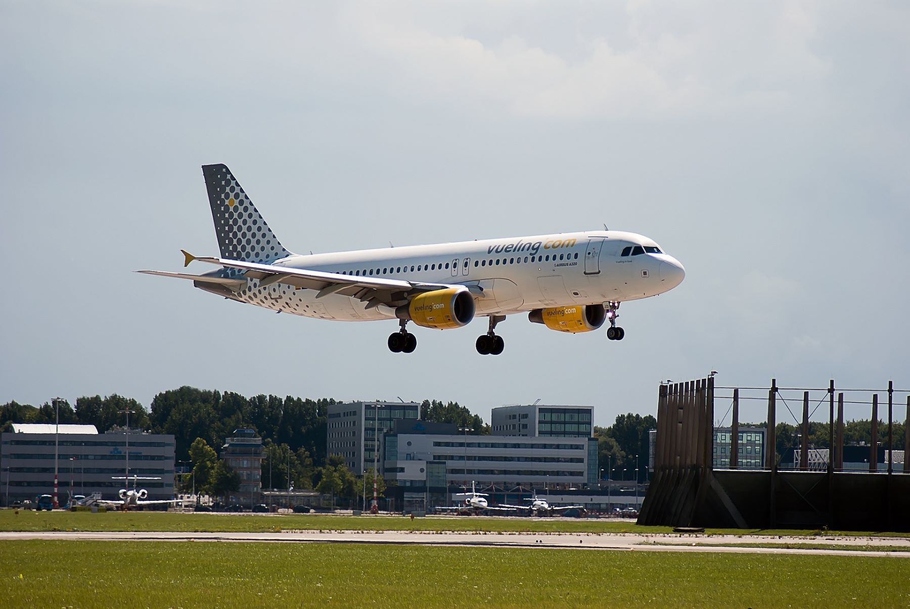 Vueling combustible sostenible purines