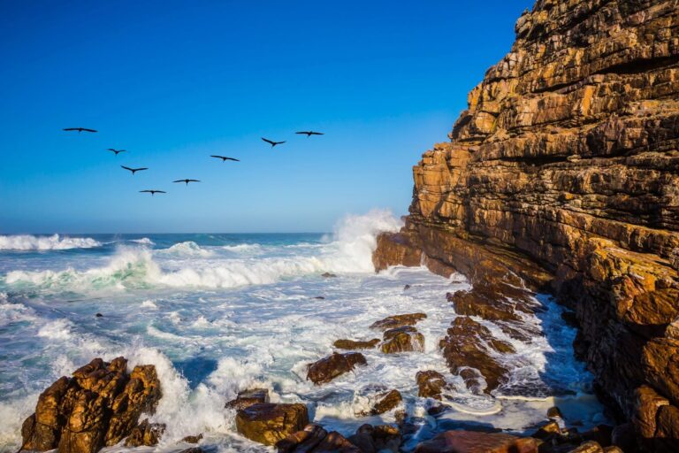 Wild Oceans FilmFest conservación océanos cambio climático