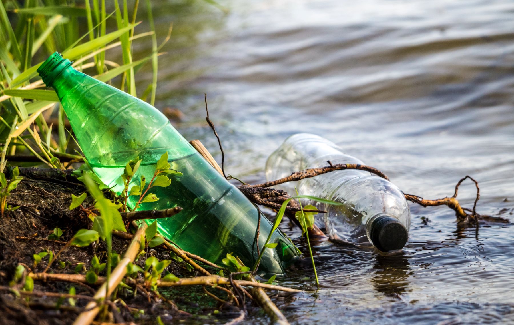 Según un estudio científico de la Universidad de Barcelona (España), la contaminación bacteriana y los microplásticos amenazan la laguna costera mas grande y productiva de Colombia, la Ciénaga Grande de Santa Marta y a su población.