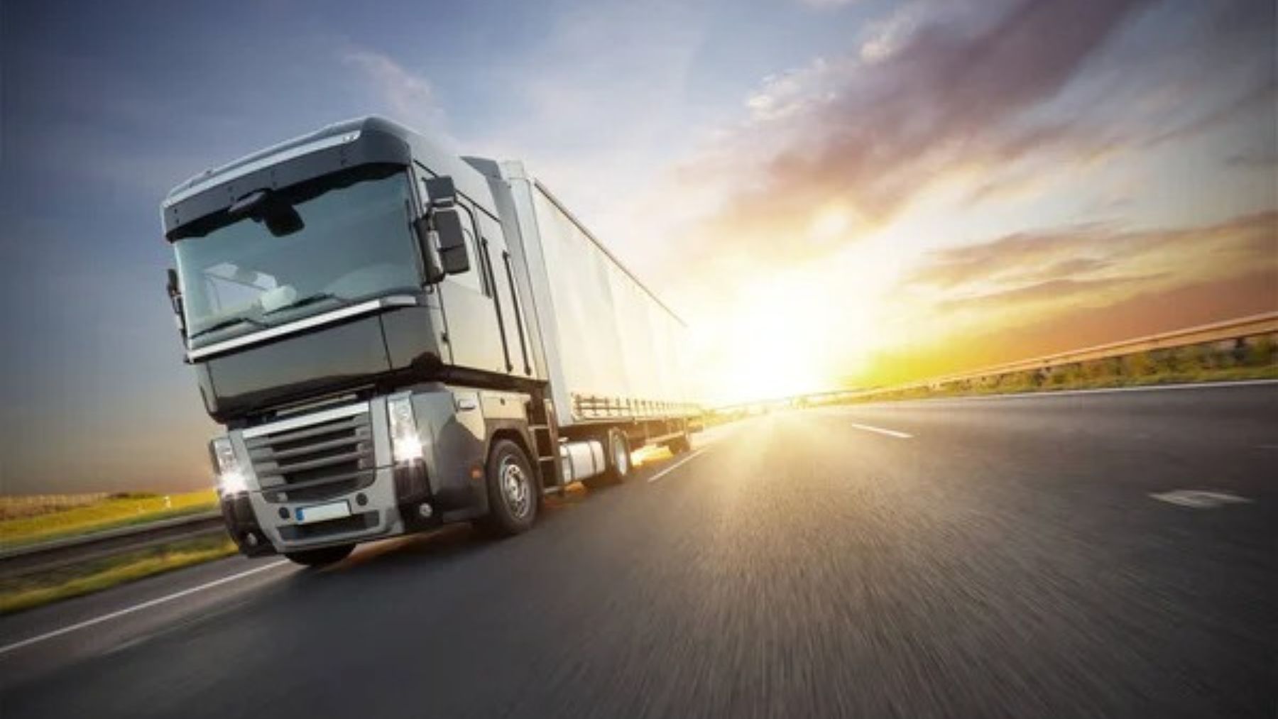 electricos Elon Musk