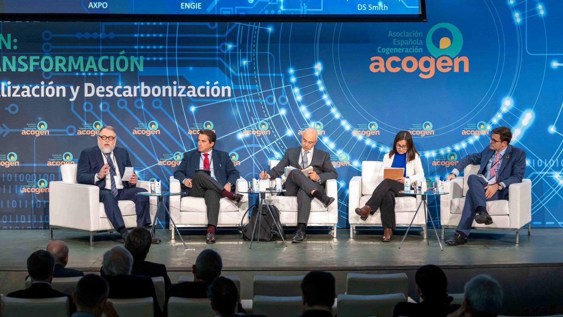 800 millones cogeneración 2025