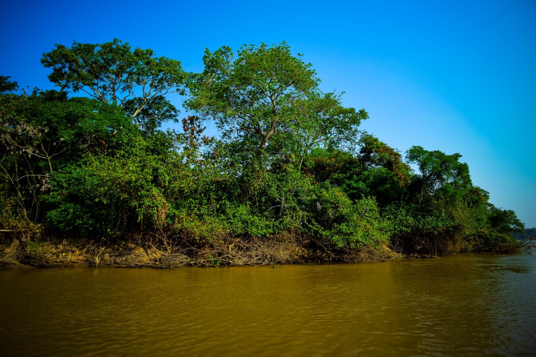 Amazonía ecuatoriana microplásticos peces ríos