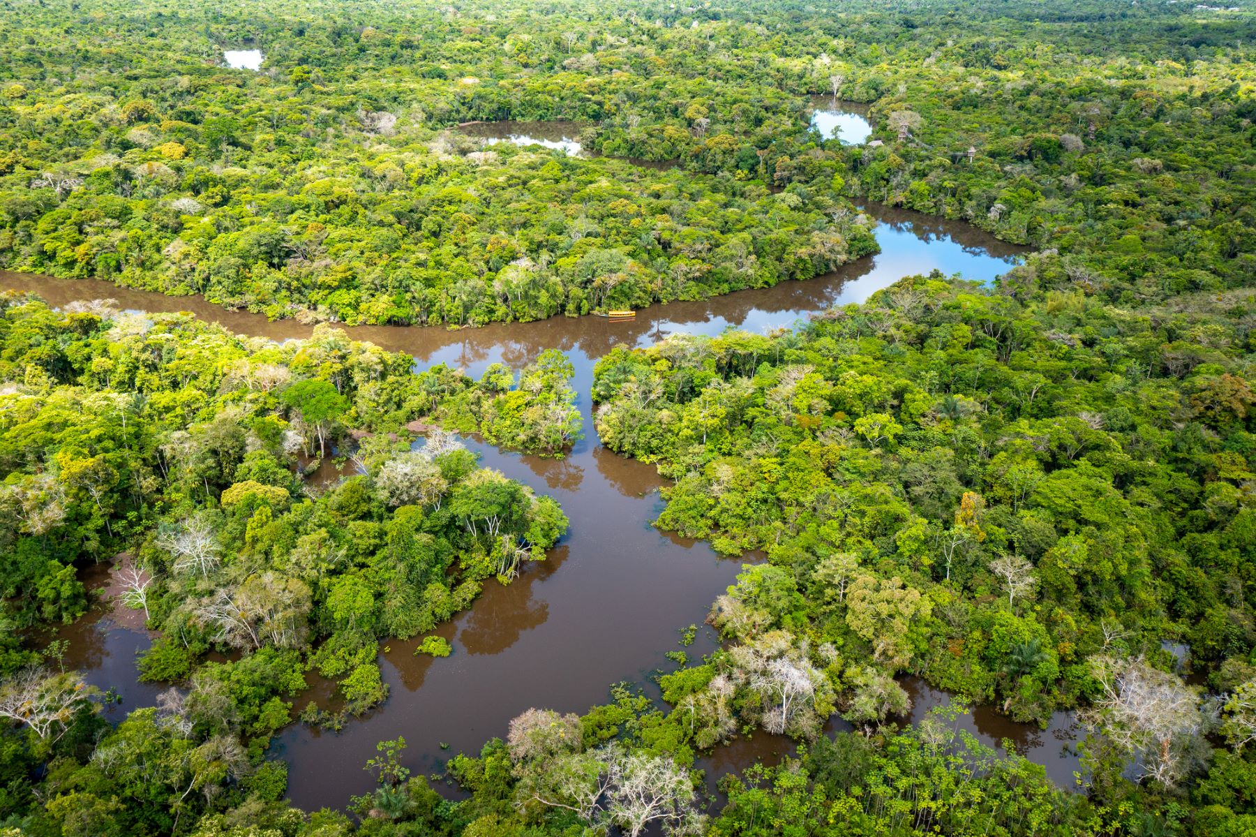 Amazonia calentamiento global metano