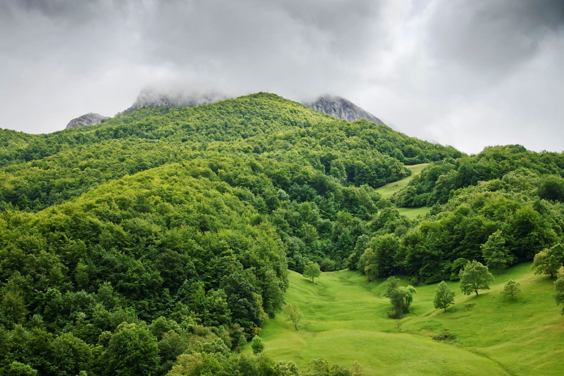 Asturias incendios forestales