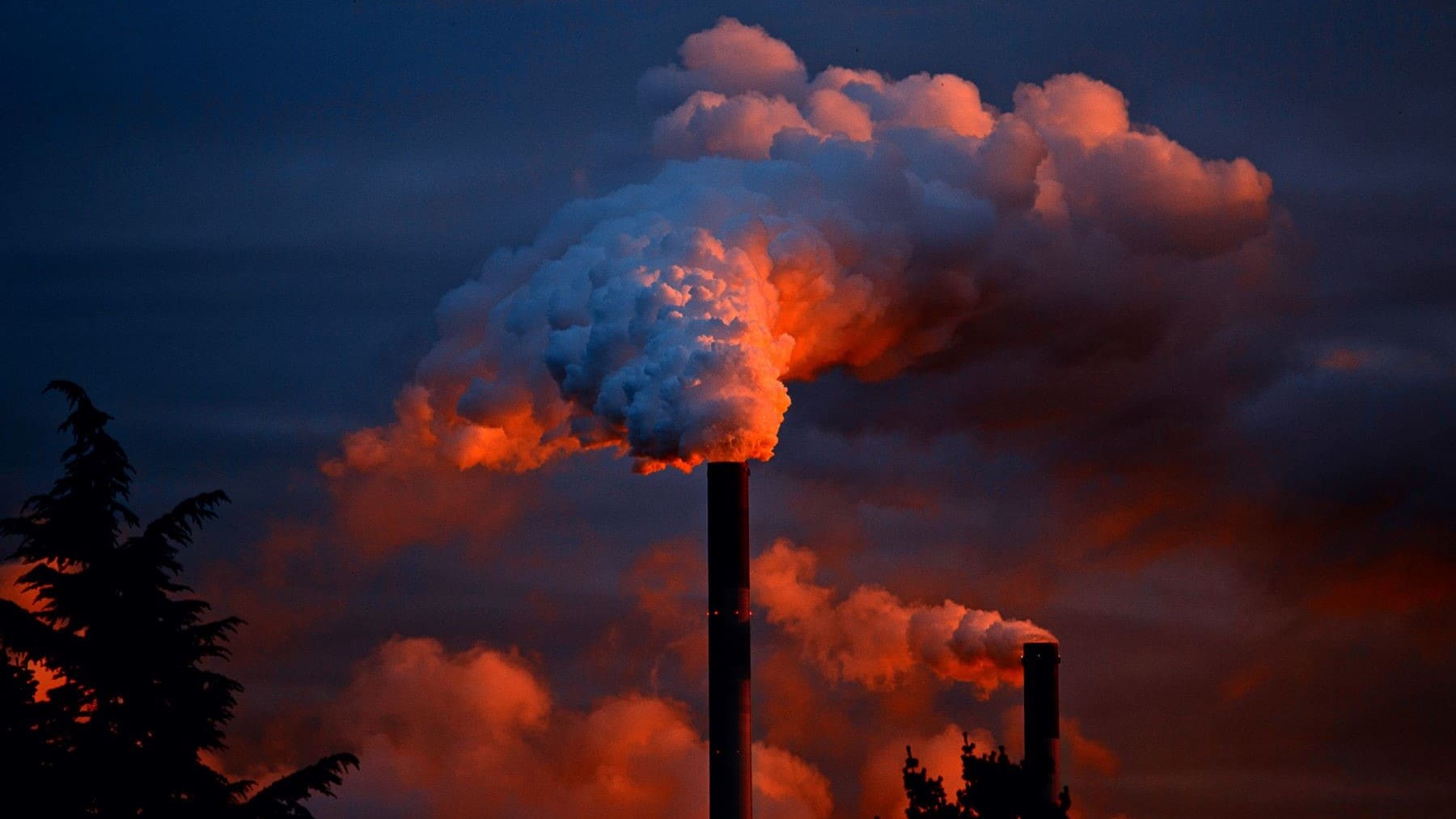 CIRCE huella carbono empresas