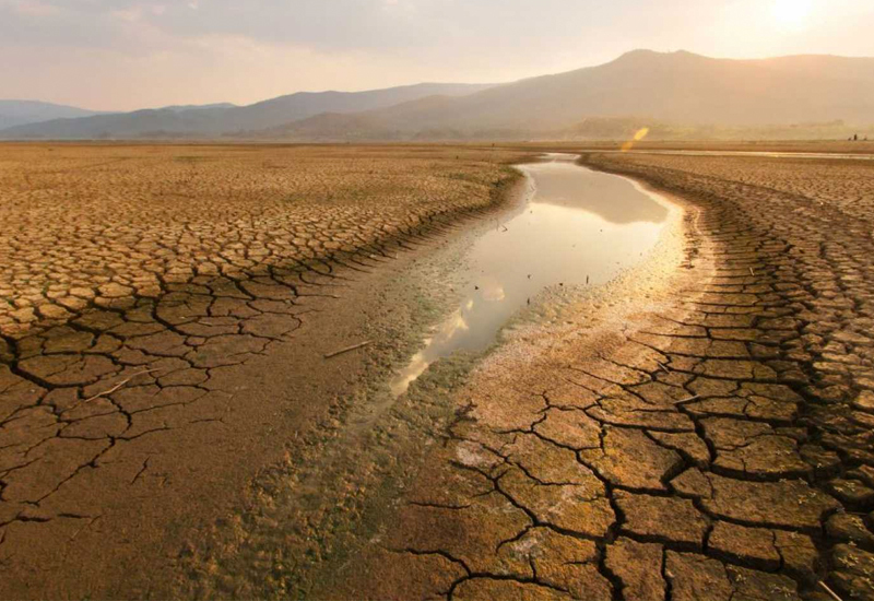 Cop29 cambio climatico latinoamerica