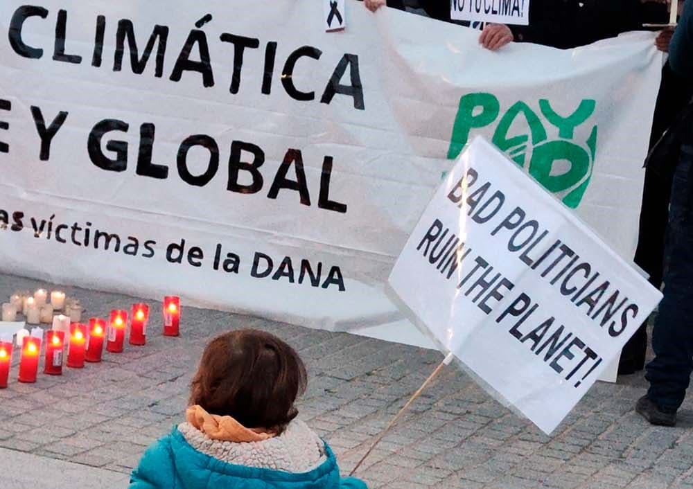 COP29 financiación negociaciones