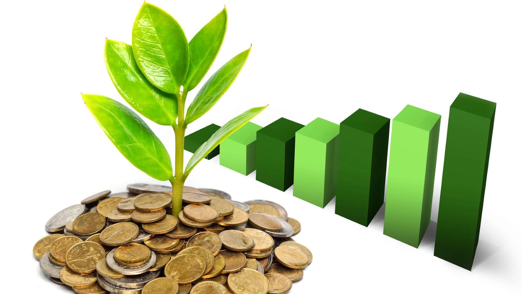 COP29 Red Empresarial Iberoamericana de Crecimiento Verde