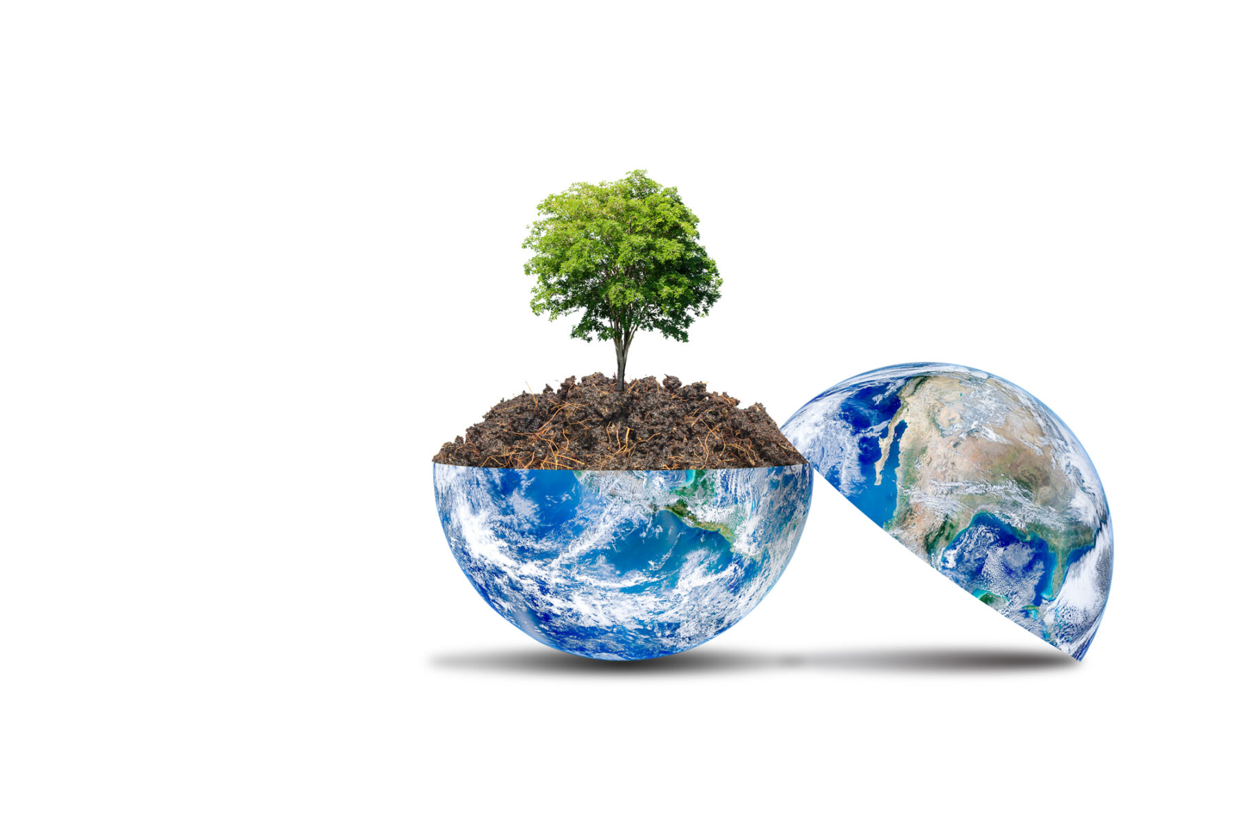 COP29 primera semana desastre