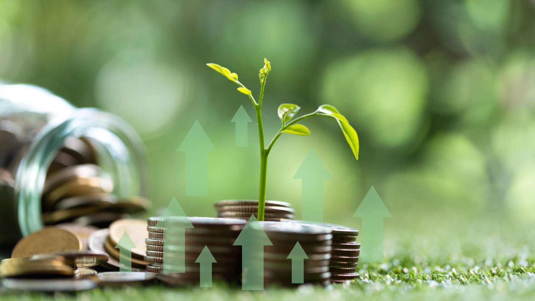 COP29 países ricos financiación sur global