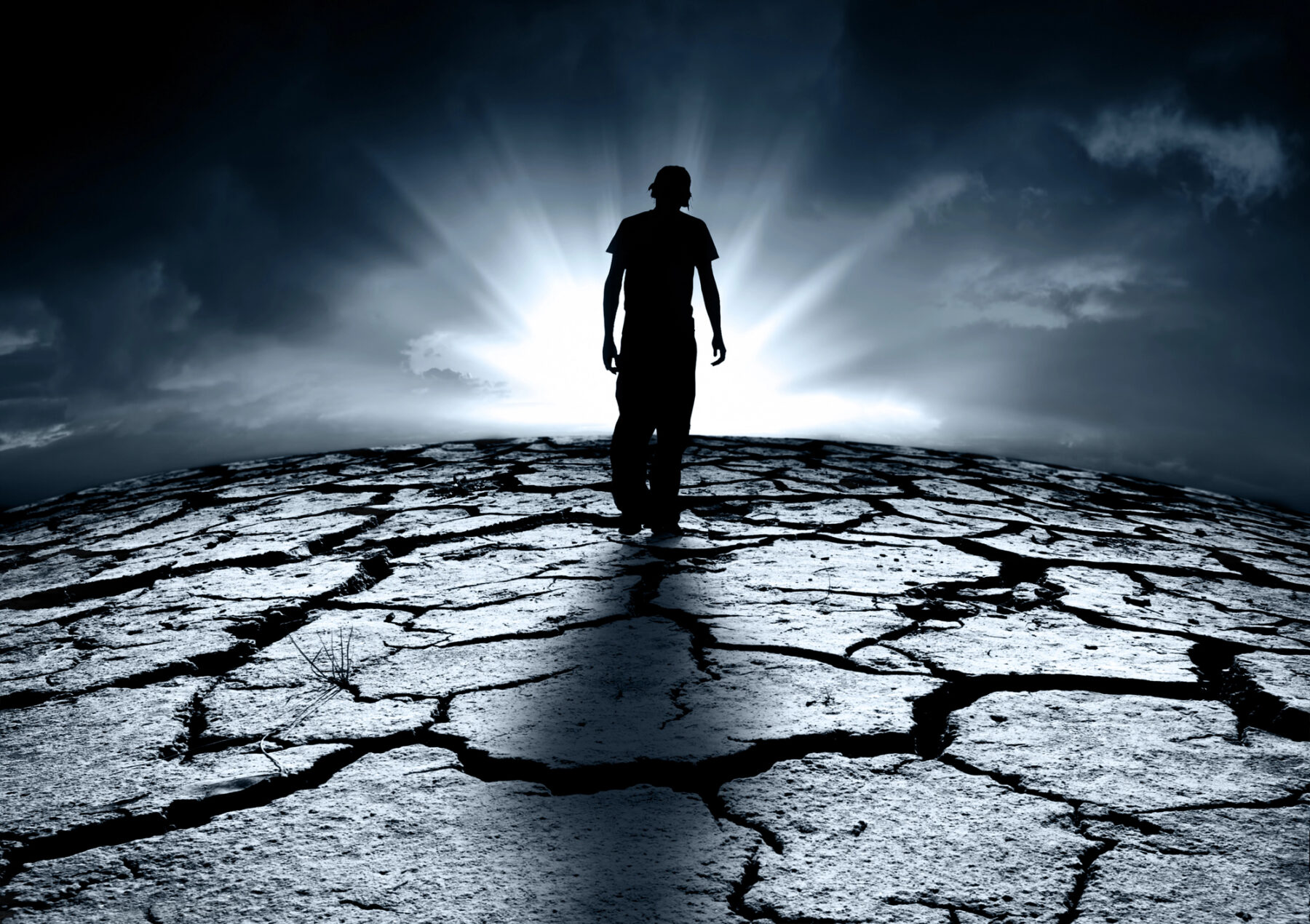 COP29 adaptación cambio climático