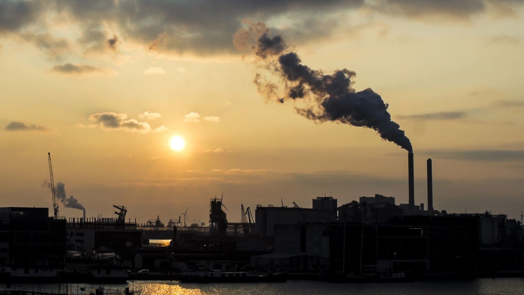 COP29 fecha final combustibles fósiles