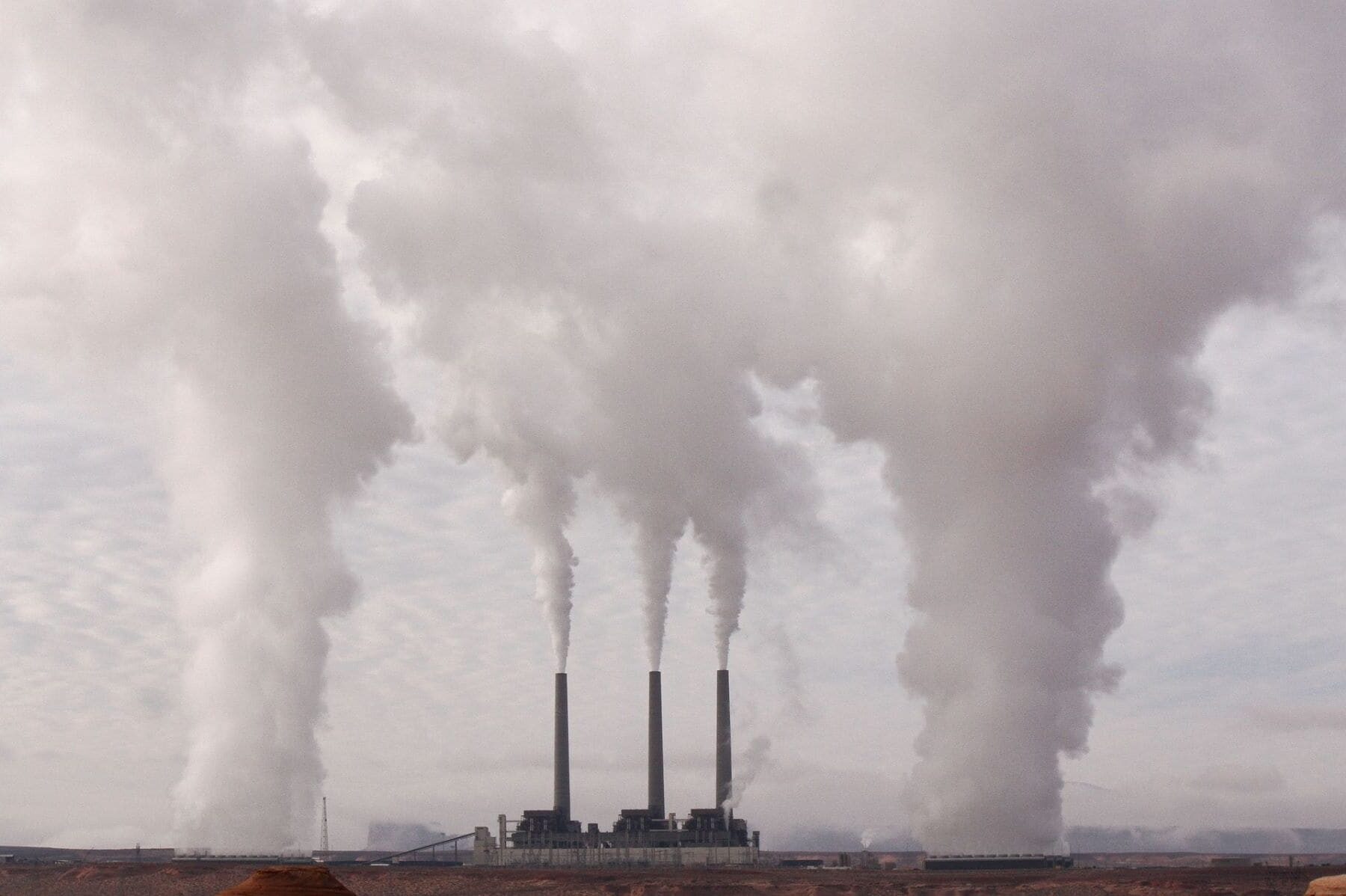 COP29 desbloquee productos ecológicos