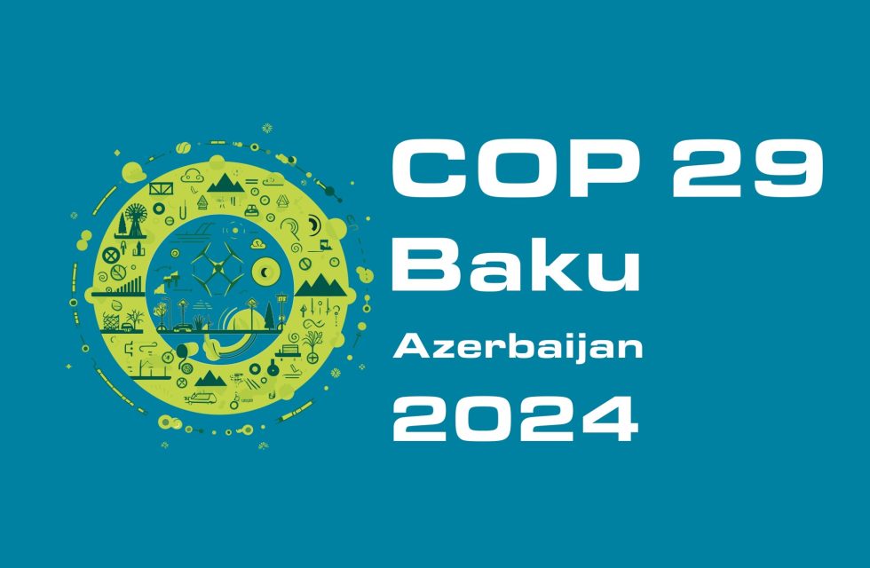 COP29 adaptación cambio climático