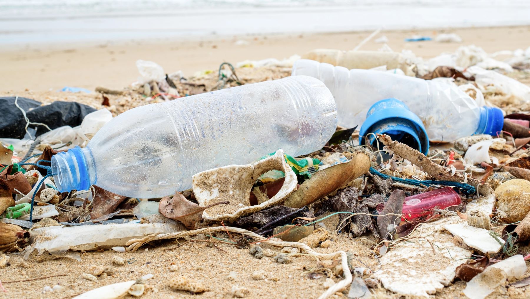 Cantabria SODERCAN economía azul plásticos marinos