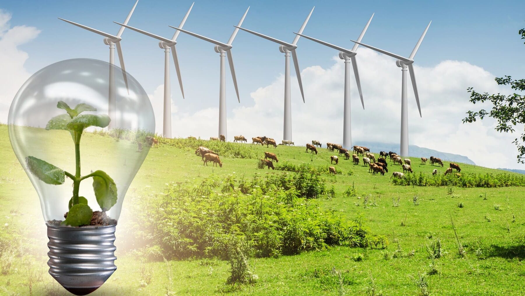 Castilla La Mancha políticas de sostenibilidad