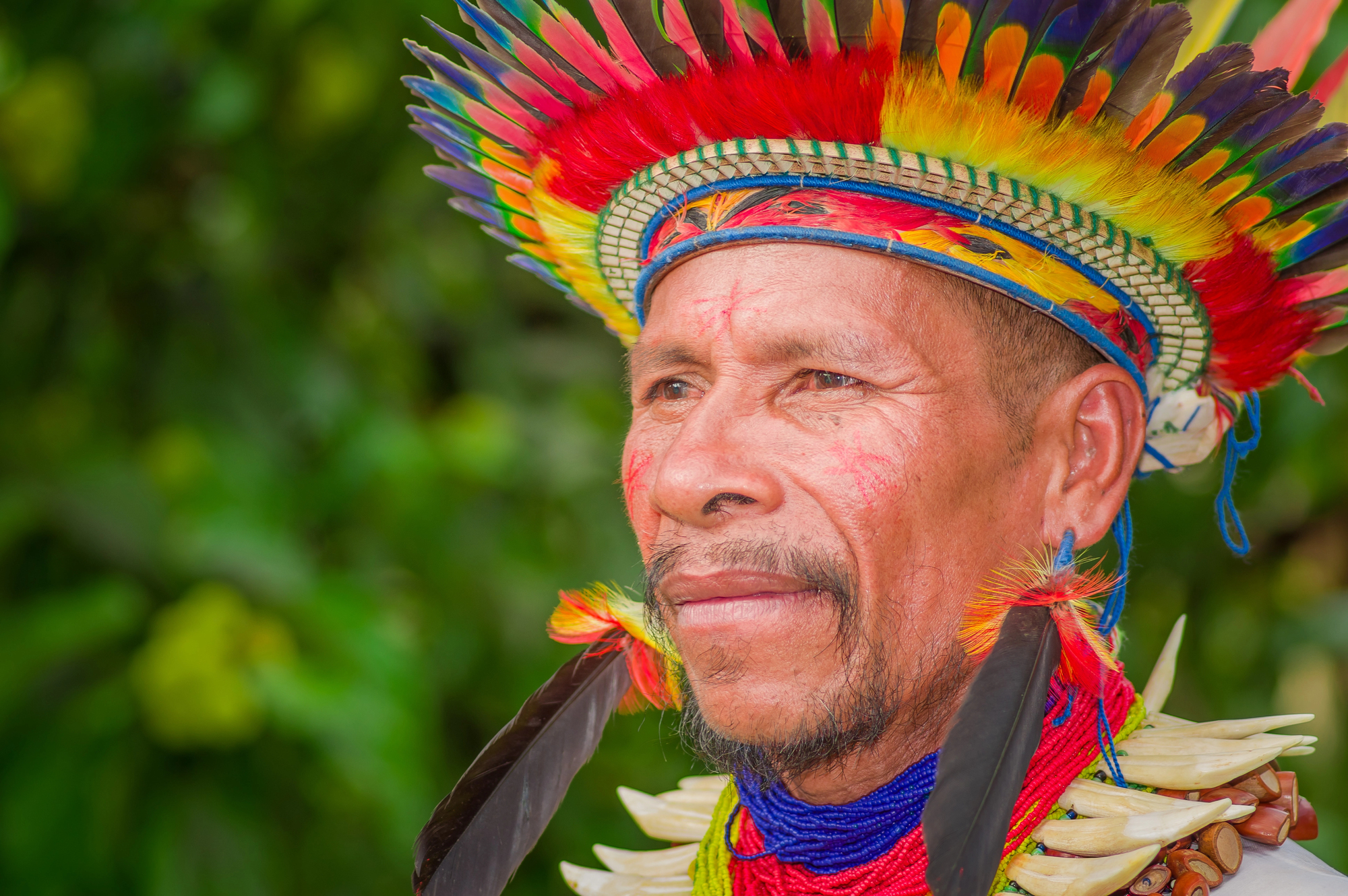 Cop16 indigenas biodiversidad