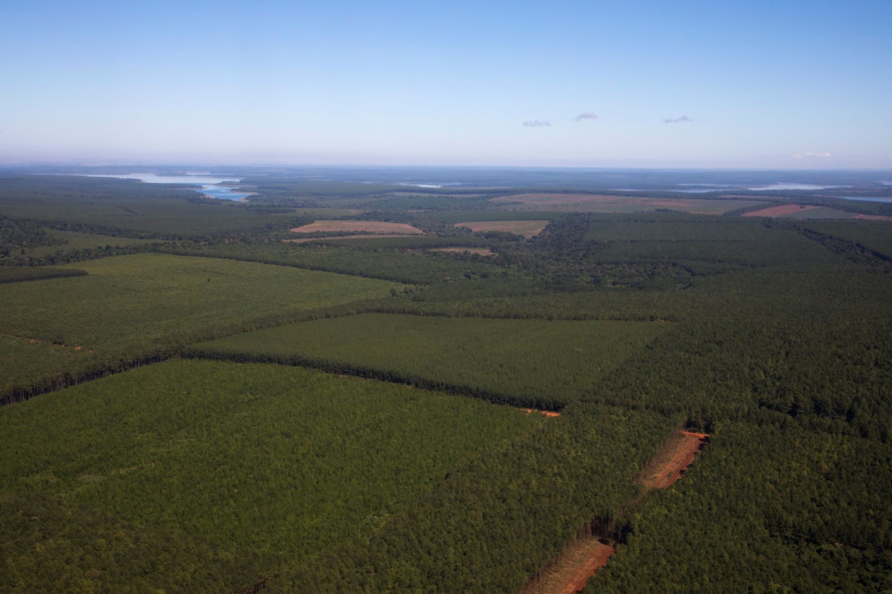 Colombia coca conservación especial