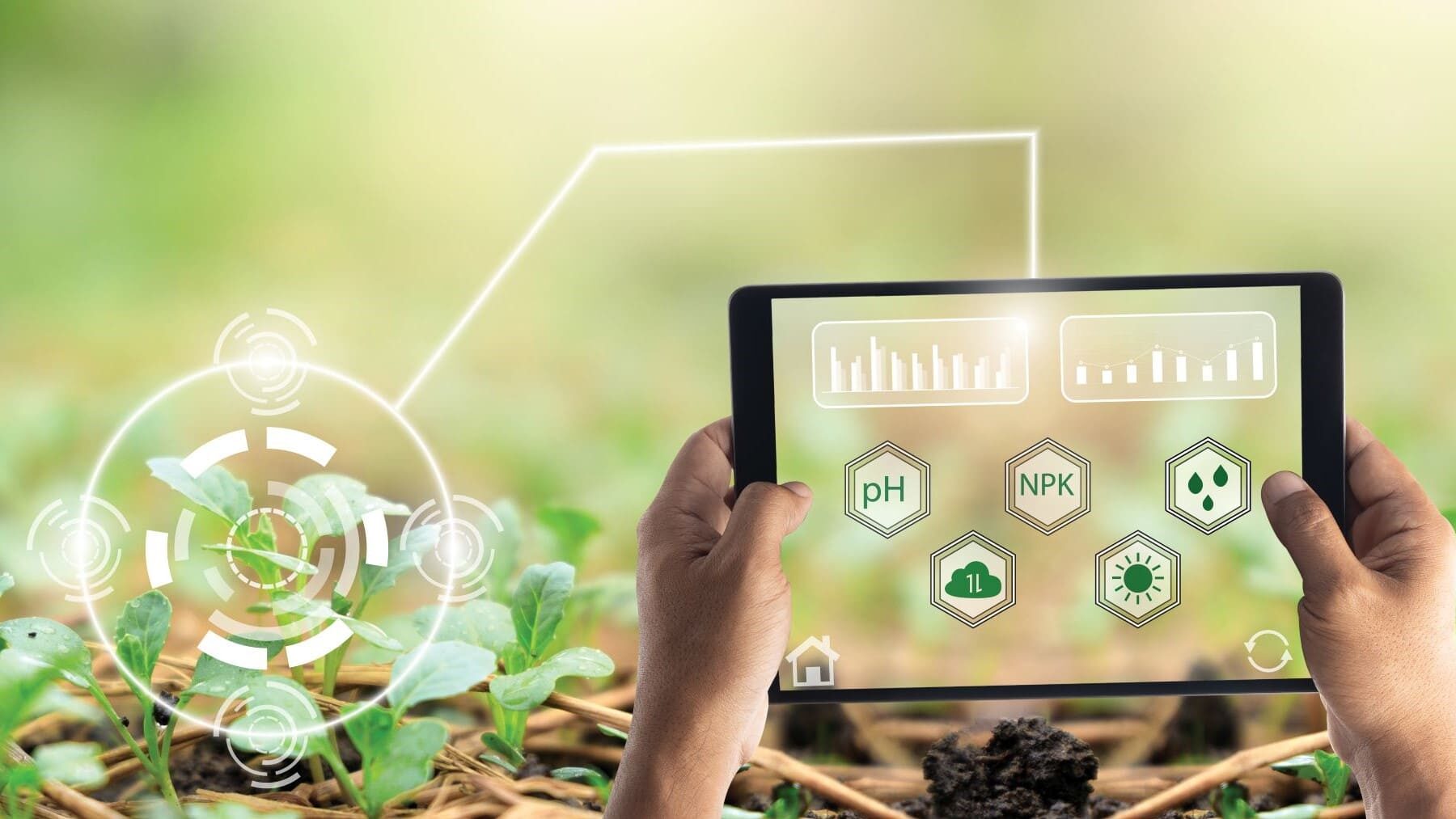 pH plantas agricultura intensiva