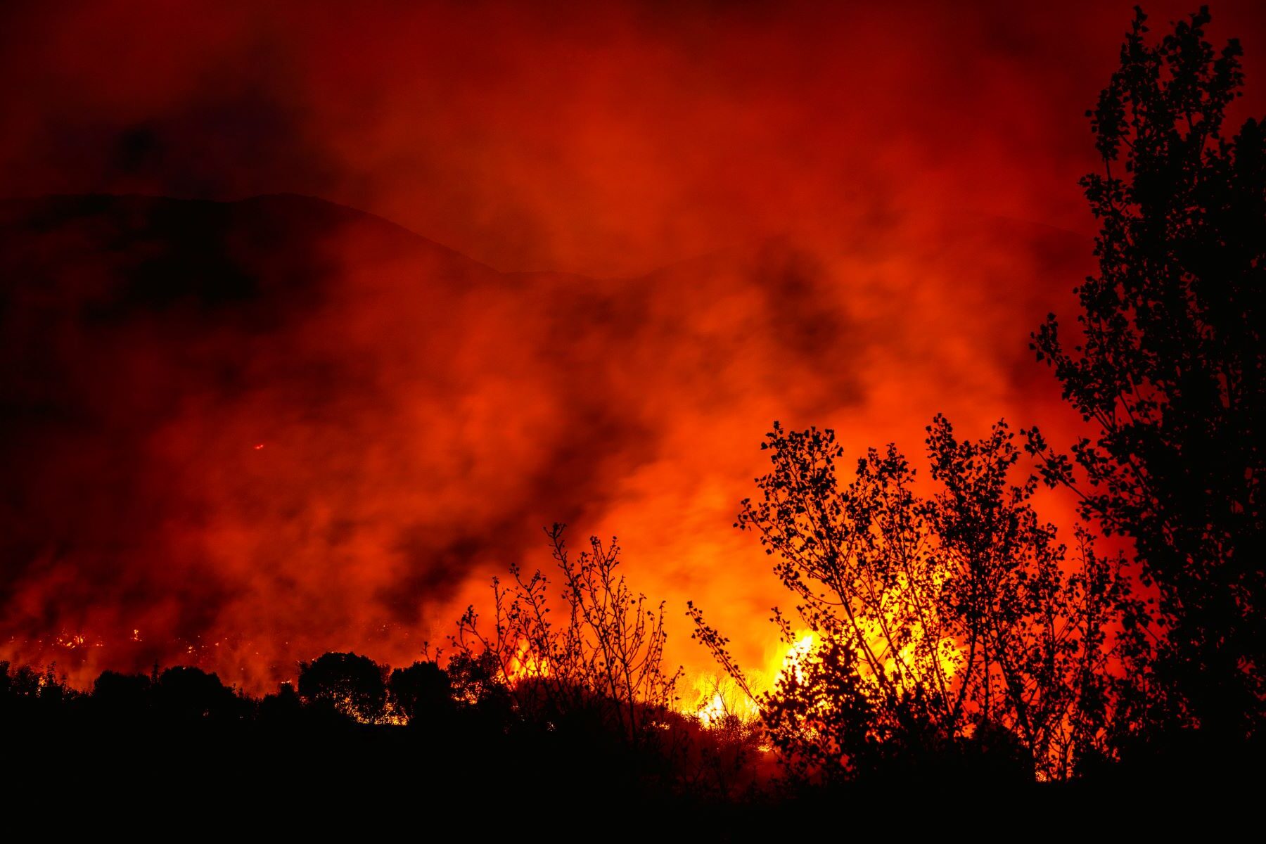 Infoca incendios forestales