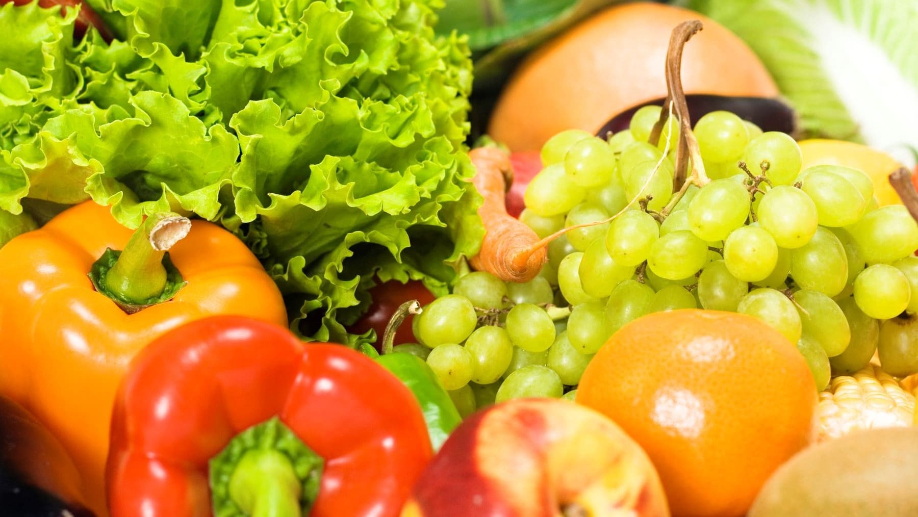 Ecovalia BioCultura Madrid 2024