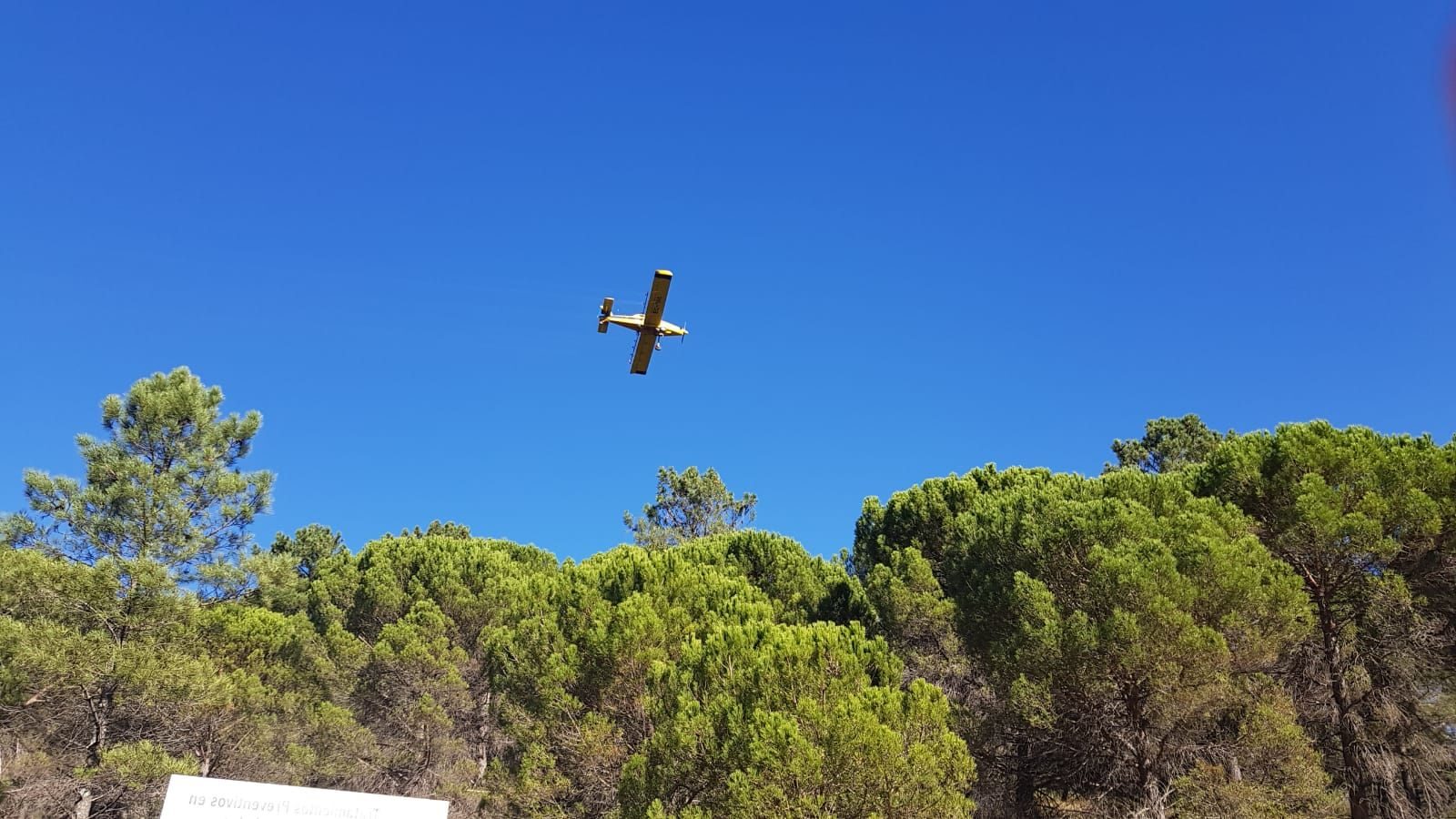 salud bosques andaluces