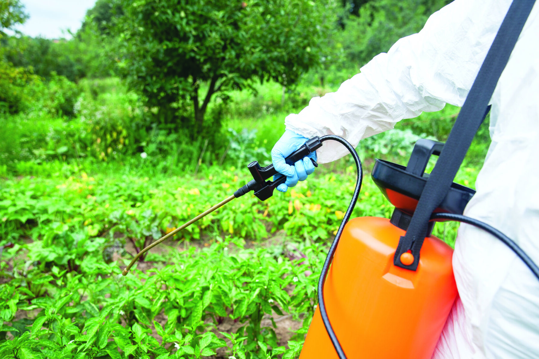 España prohibir glifosato usos no agrícolas