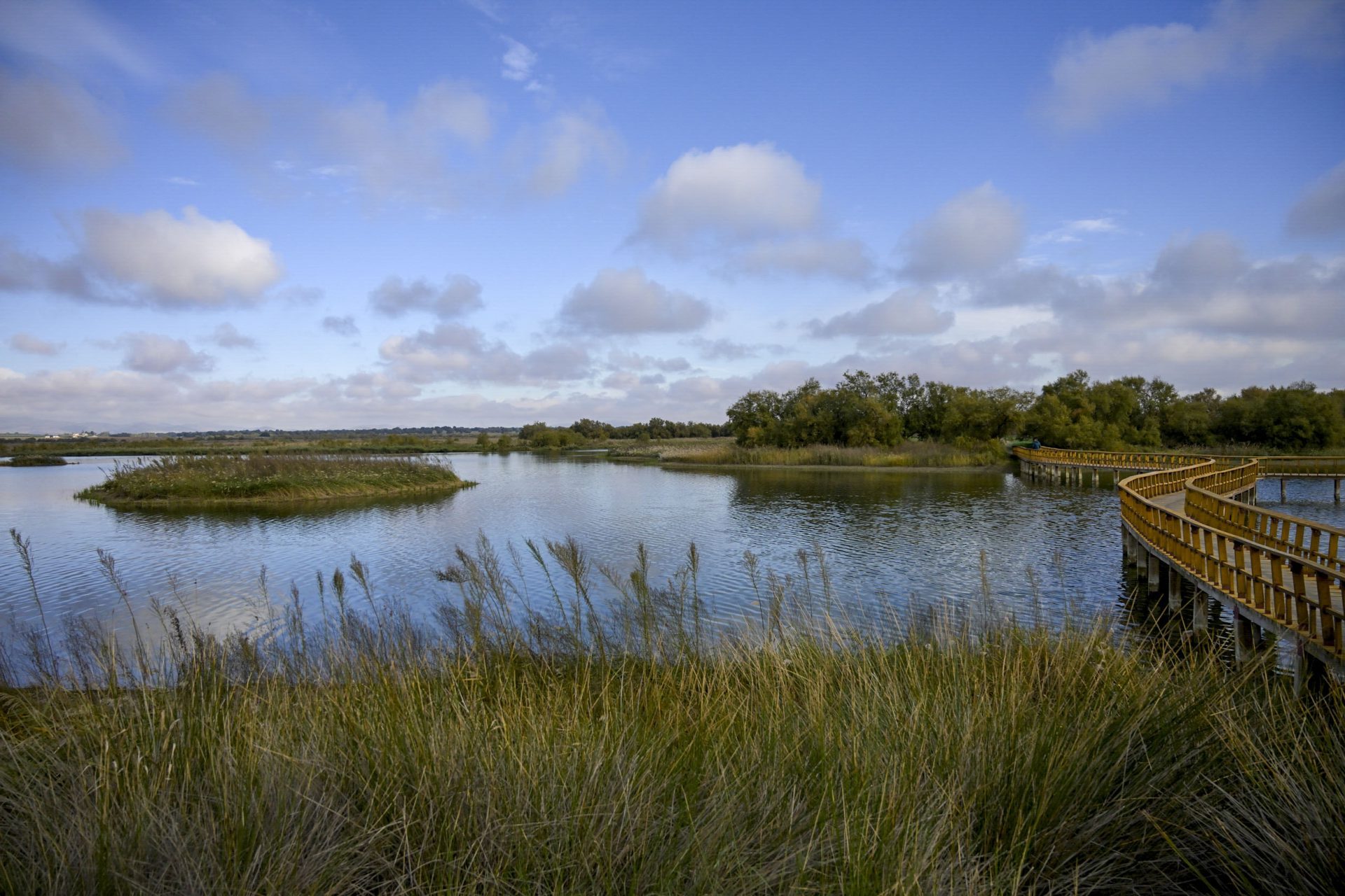 Subvenciones pueblos área Cabañeros Las Tablas de Daimiel