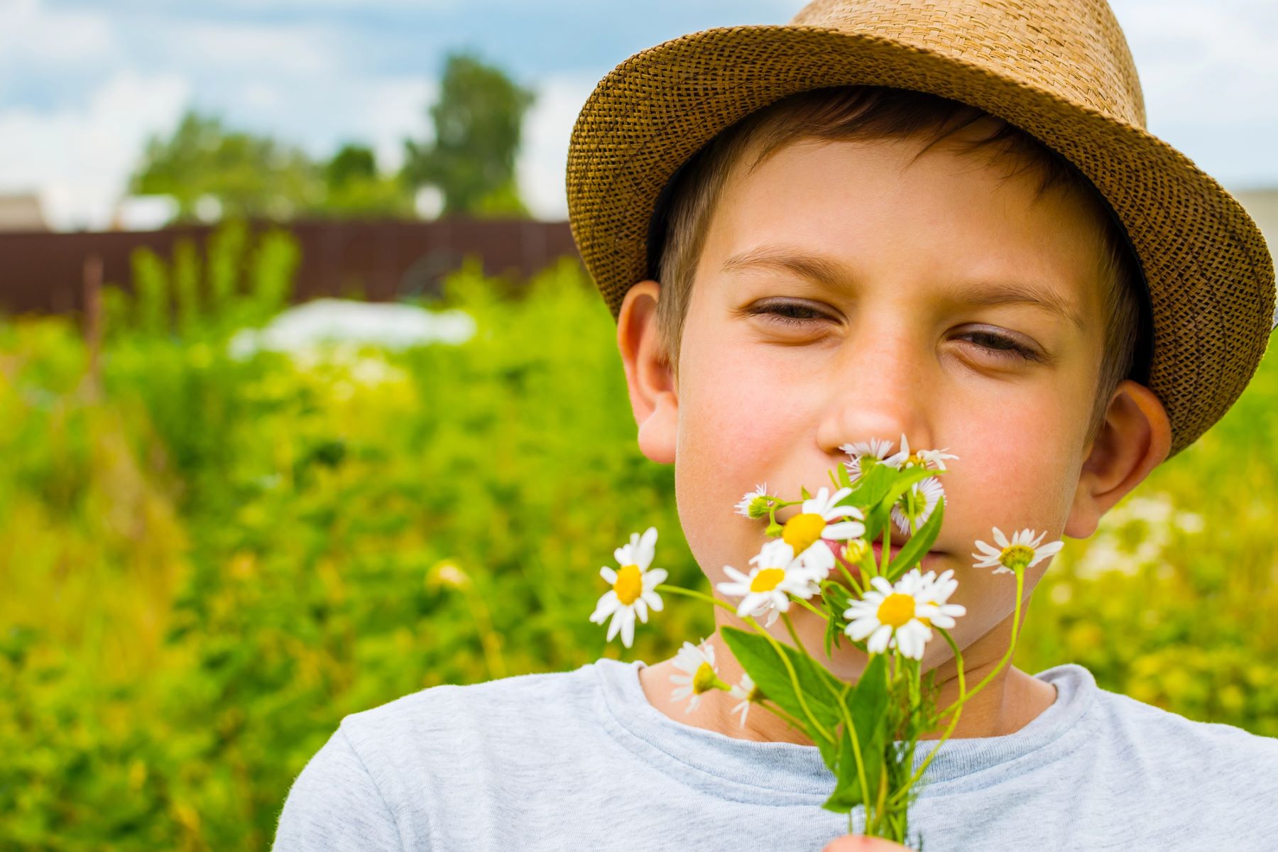 Galicia naturaleza Siradella O Veral