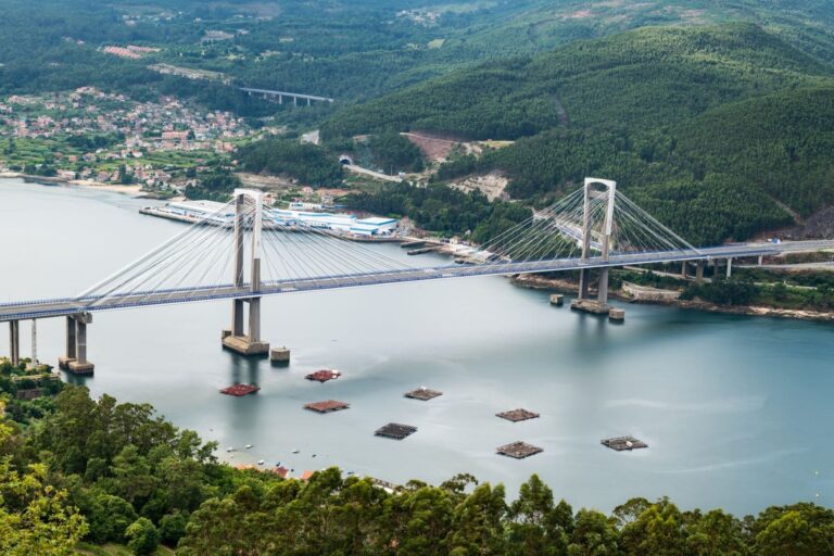 Galicia observación inteligente biodiversidad