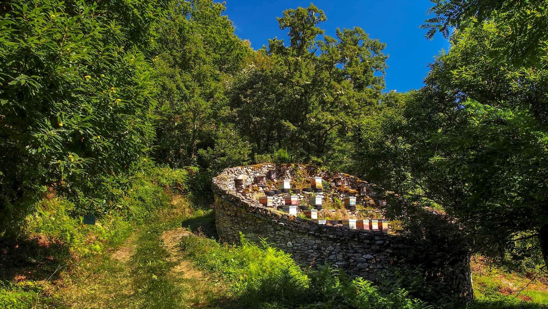 Parque Natural Fuentes del Narcea Degaña Ibias