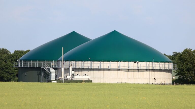 Biogás AEBIG transición energética