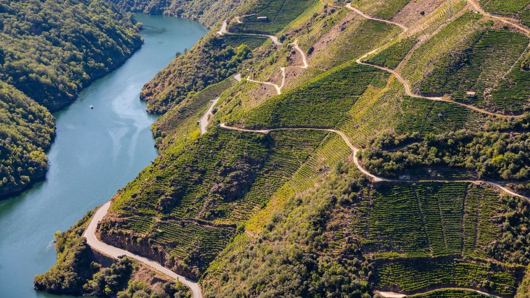 Federación Ecoloxista Galega Foro litoral
