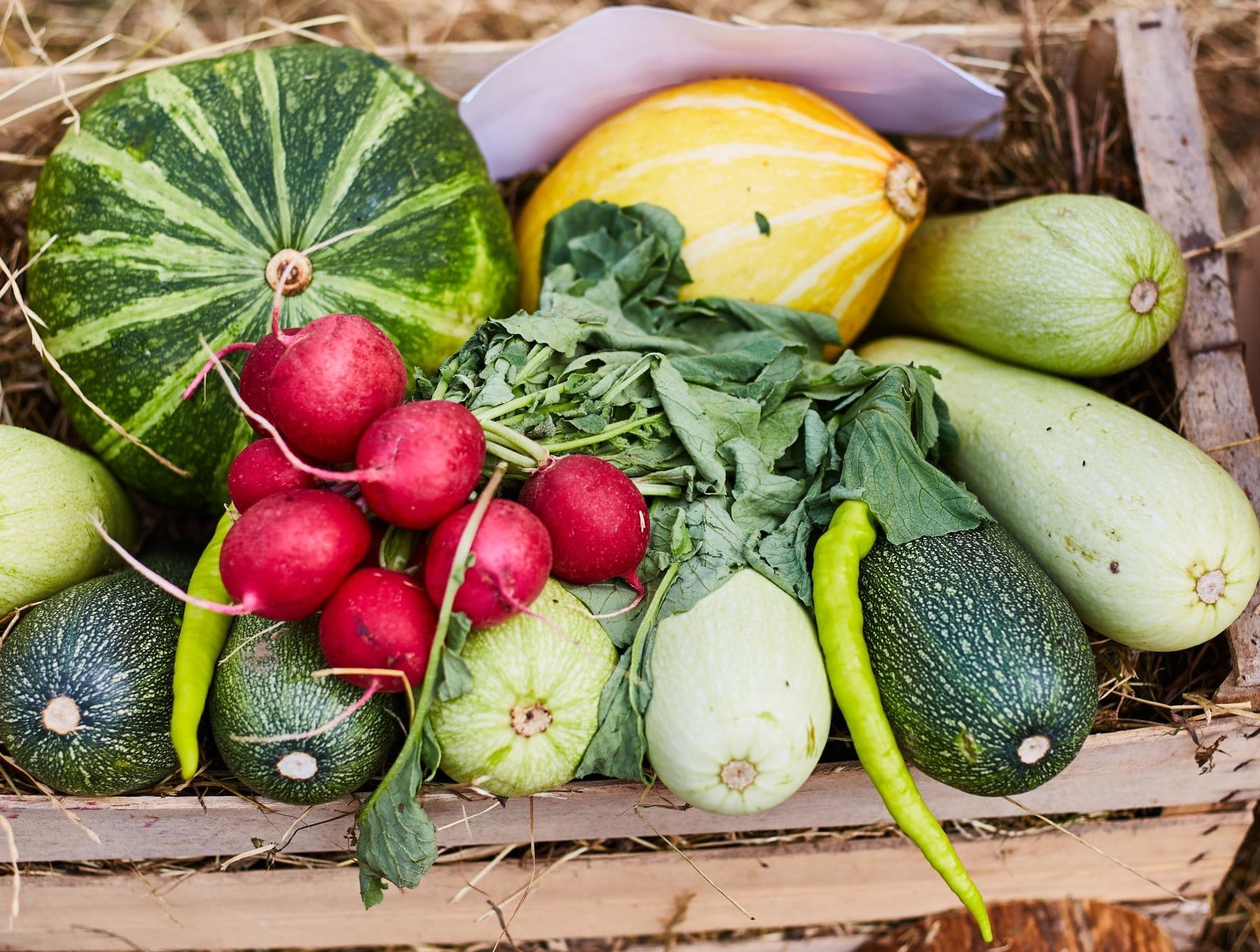 agricultura ecológica tres millones hectáreas cultivadas