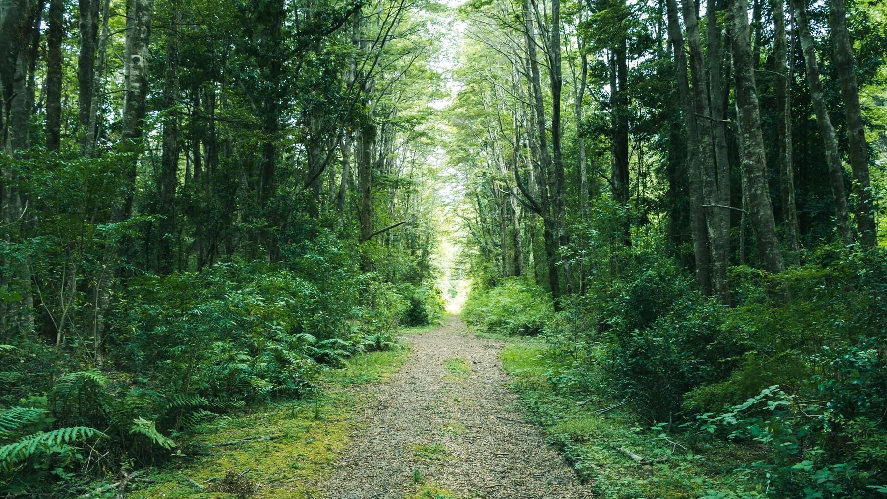 Ecoturismo naturaleza Latinoamérica