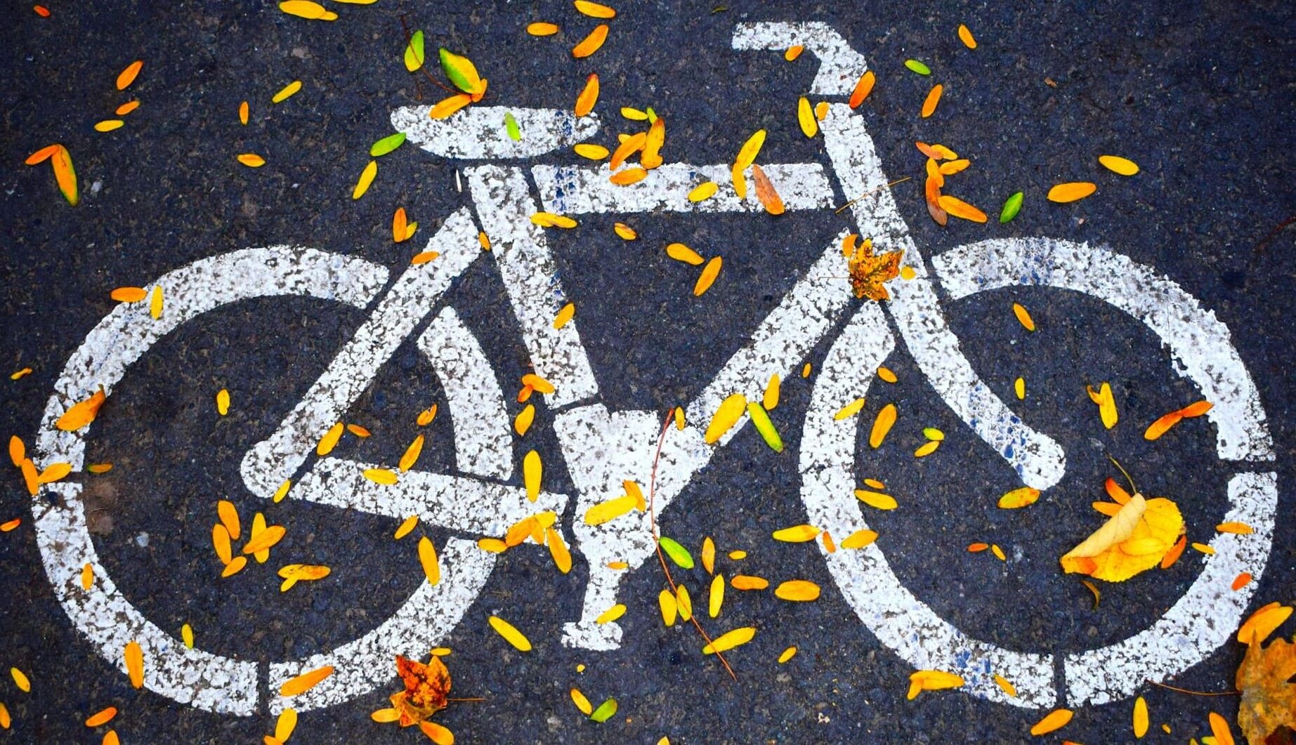 Navarra vías bicicletas