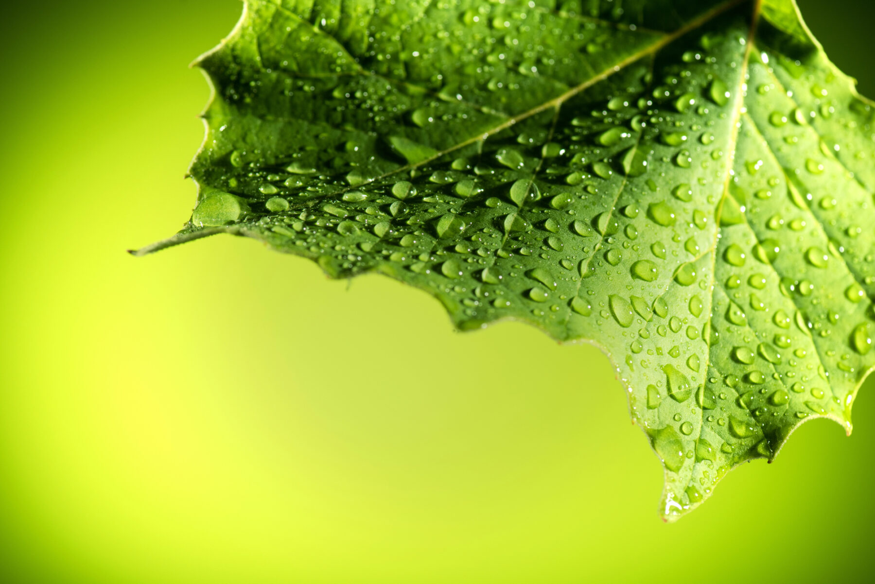 Octubre 2024 lluvioso registros