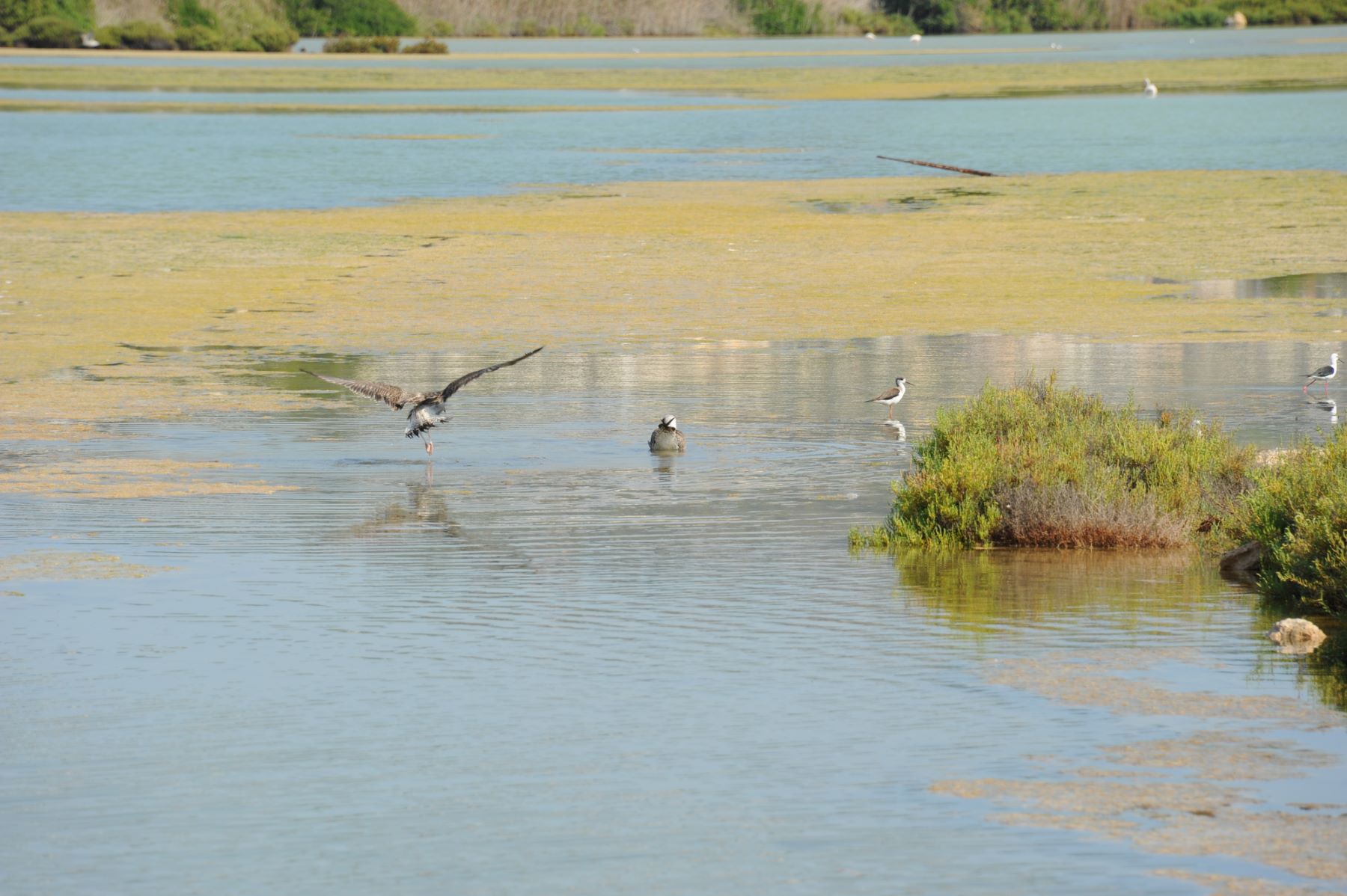 normativa Humedales Sur Córdoba exigencias UE