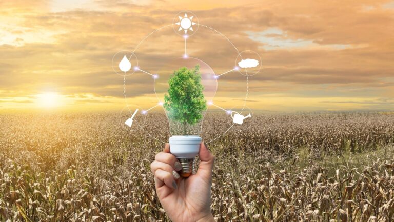 municipios andaluces planes cambio climático 2025