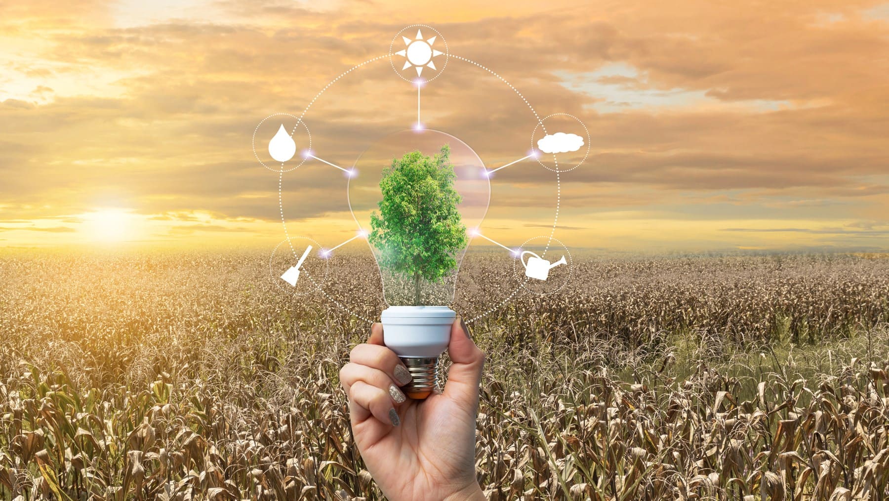 municipios andaluces planes cambio climático 2025