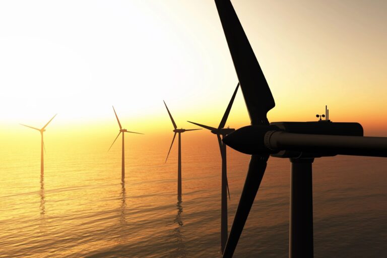 Proyecto Flores Galicia energías renovables marinas