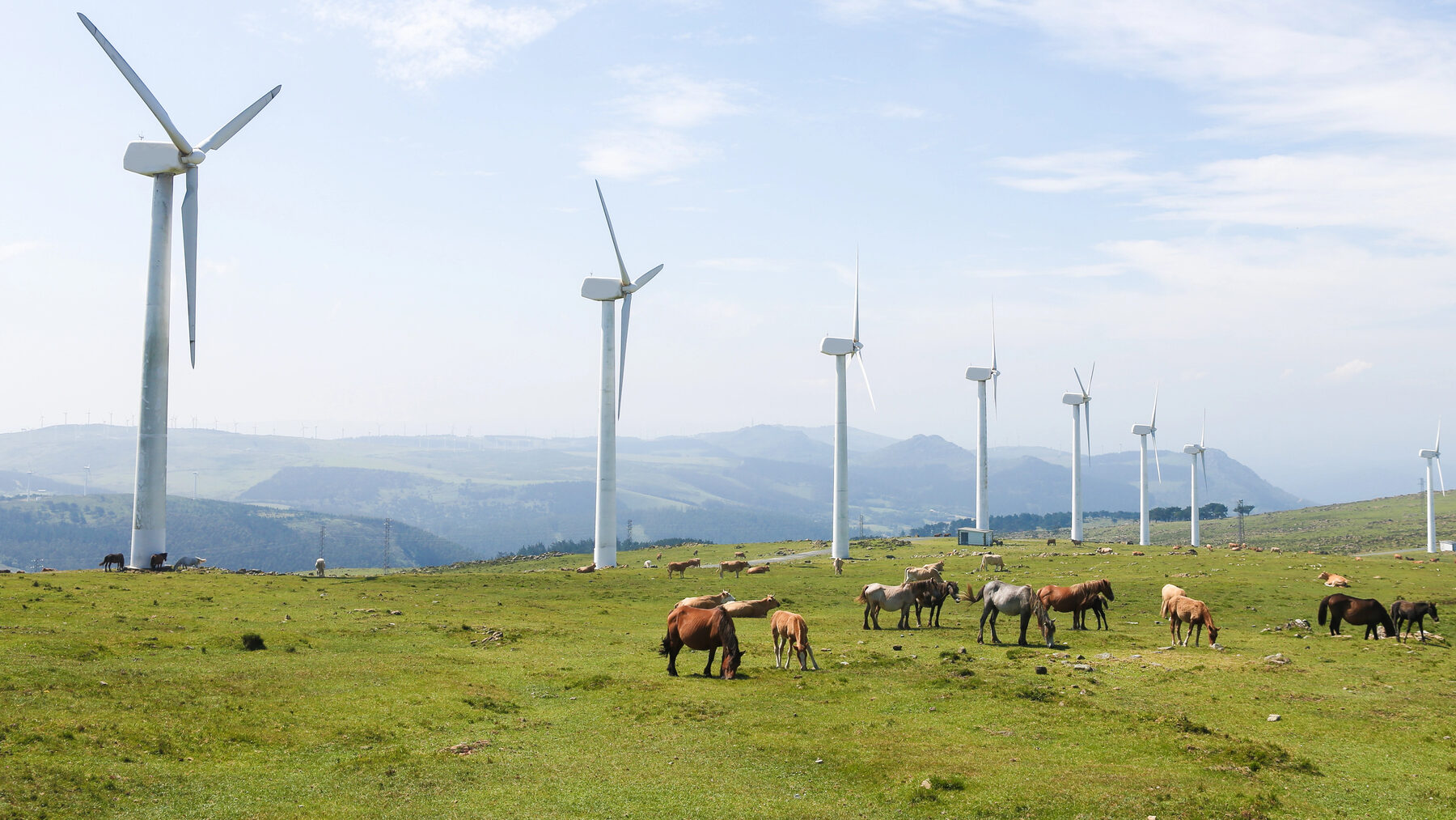 Alegaciones Plan Territorial Sectorial Energías Renovables Euskadi