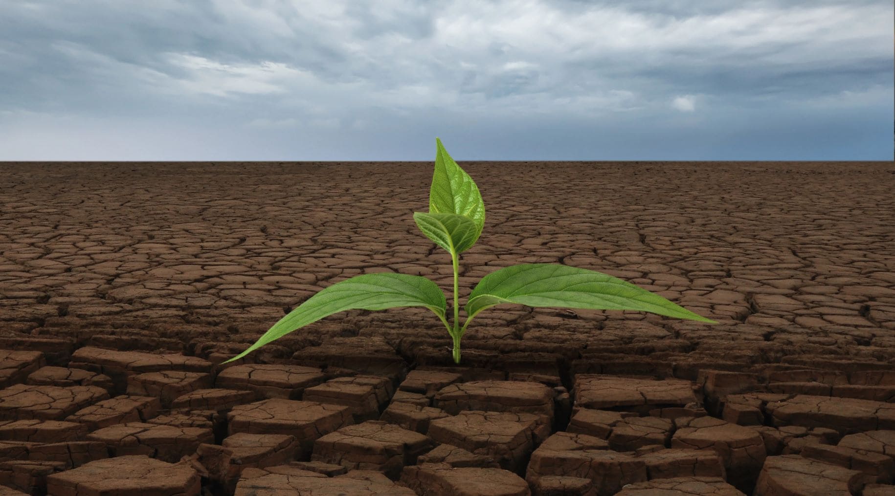 Asamblea Ciudadana Navarra Cambio Climático