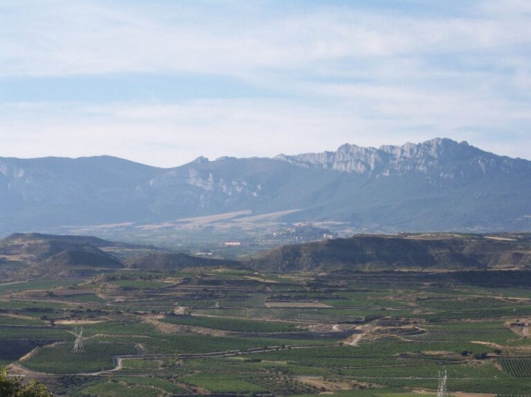 Recuperación ambiental Monte Sierra