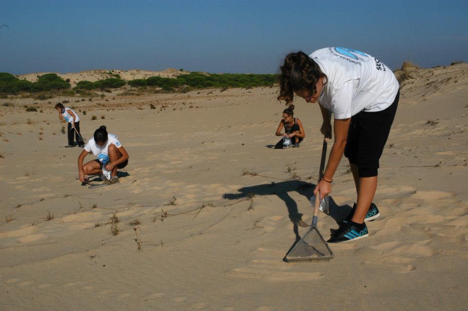 plomo municiones caza pesos pesca