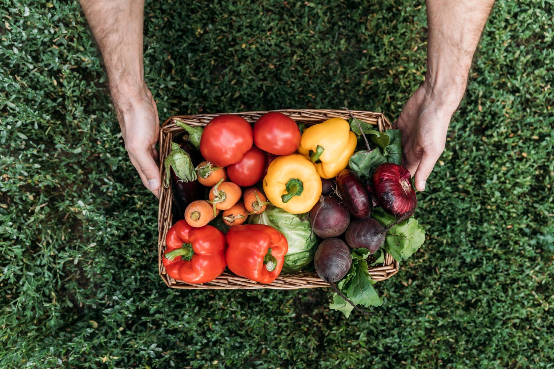 agricultura ecológica Murcia