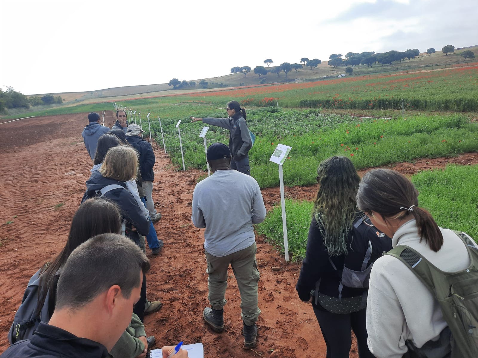 red europea intercambio conocimiento agricultura ecológica