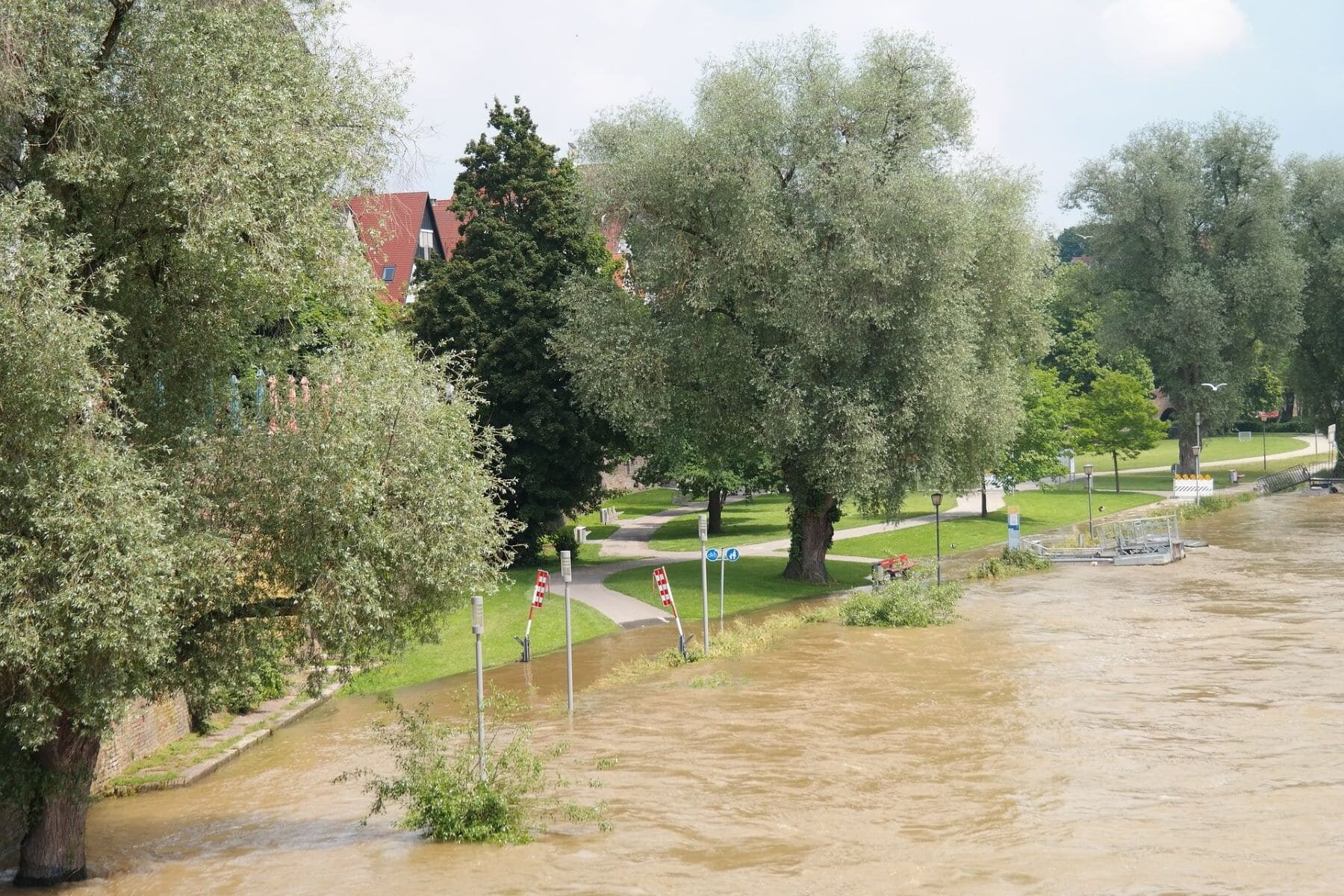 COP29 Planes Climáticos Nacionales ambición climática