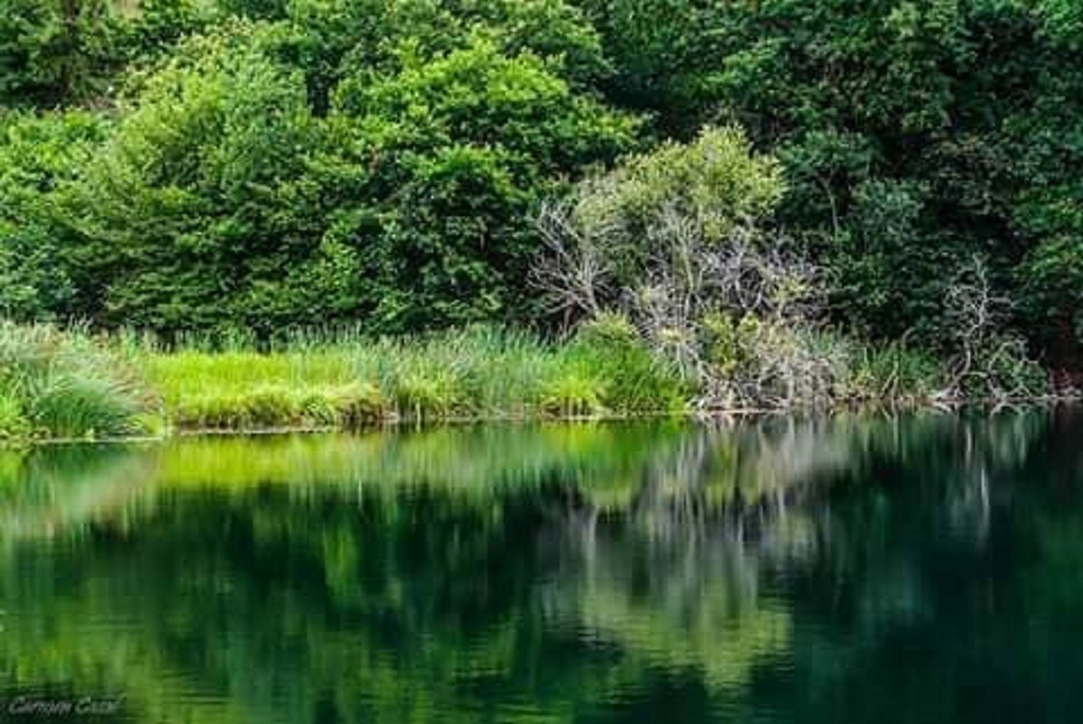 Área Natural Especial Interés Pozo Tremeo cantabria