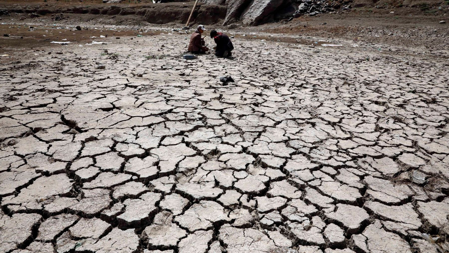 sequia solucion legumbre